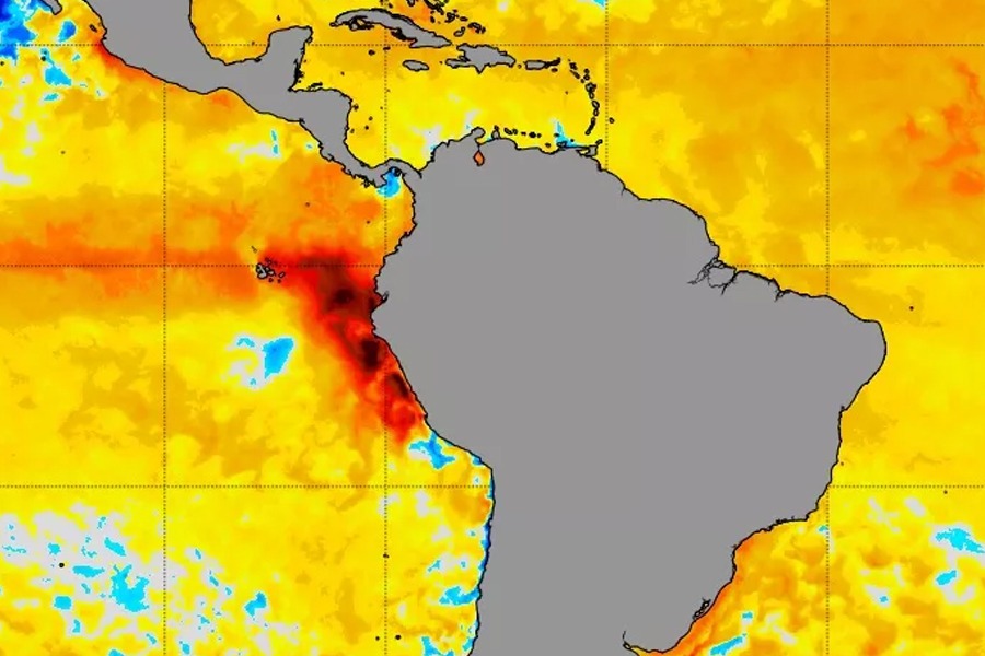 El Niño deve aumentar pressão causada por pragas e doenças na safra atual